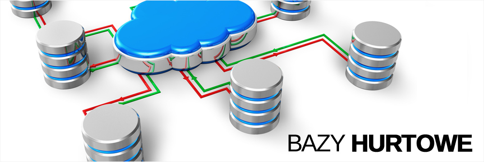 Bazy hurtowe